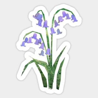 English bluebells Sticker